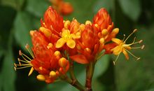 守住心灵的契约_800字