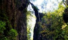 美丽的仙人桥_800字