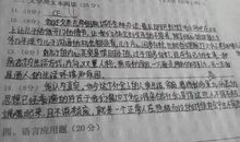 高考，一种美丽的痛_1500字