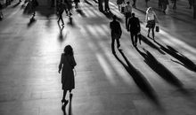 秋千的落寞_50字