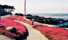 生活，现实，梦想_1200字