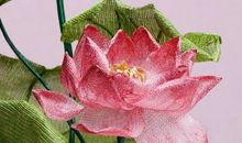 那些年，花开不落_3000字