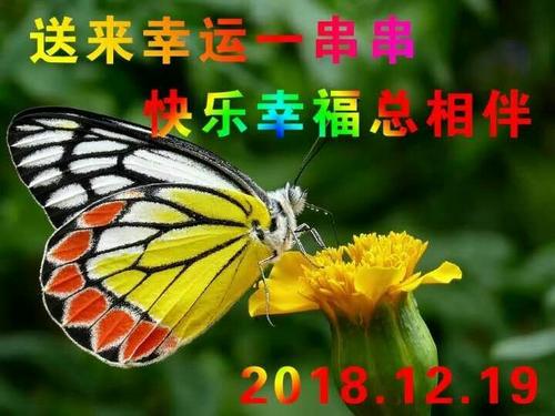 总是值得回忆_2000字