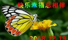 永远值得回忆的_2000字