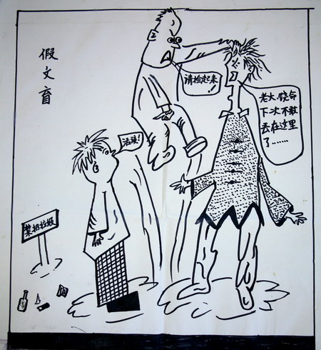 假盲_900字