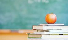 老师的陪伴_350字