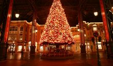 一个人的圣诞夜_800字