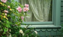 门外与窗前_900字