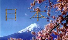 樱花不一定是日本的最美_2000字