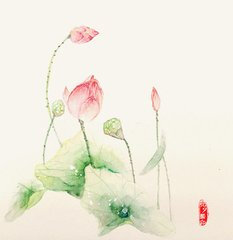 海曙花秋季_750字