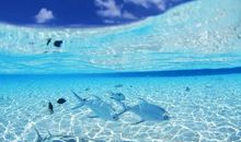 时光一去不复返_650字