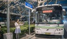 公交车窗外_1000字