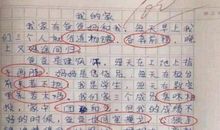 一直以来_800字