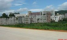 情暖岭景_2000字