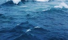 大海，我爱你_700字