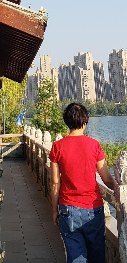 没有，梦幻花园_1000字