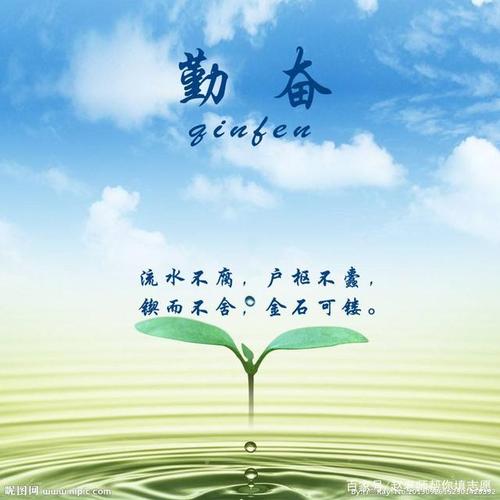 生命的含义_50字