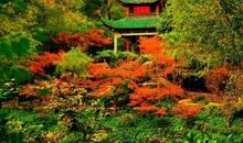 故乡的十月_1200字