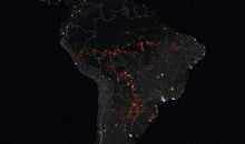 生命在哭泣_650字