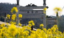 春天的施家岙_750字