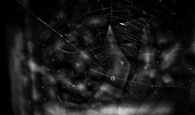 窗外的声音_800字