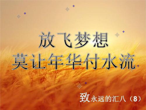 青年梦想_500字