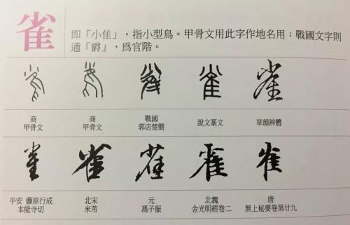 有趣的测试_450字