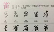 有趣的试验_450字