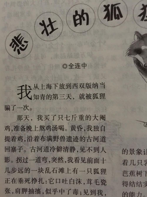 “在狐狸欺骗一次，”阅读后阅读_450字
