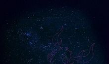 星空的醒悟_900字