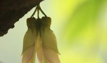 谁的眼泪在飞_700字