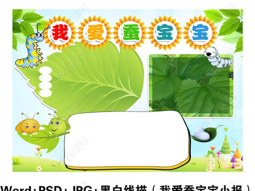 蚕宝宝_150字