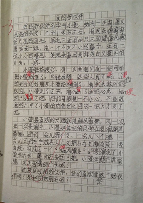 我的好伙伴_300字