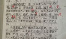 我的好伙伴_300字