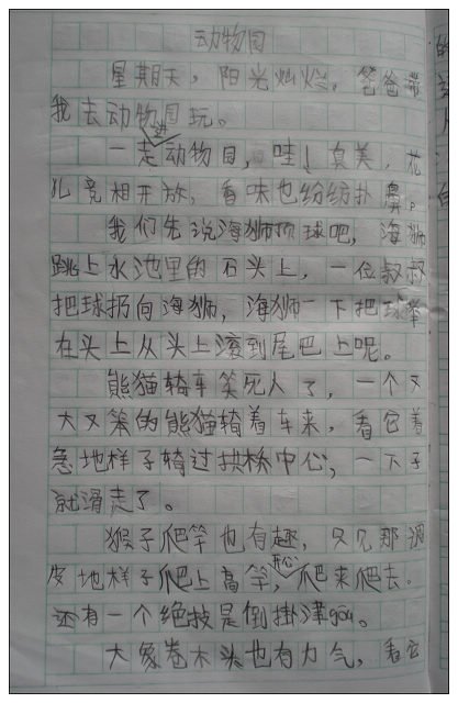 我的小雪雪_100字