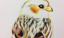 可爱的小麻雀_350字