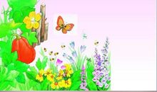 我家的“大花园”_200字