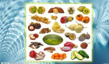 水果的奥秘_200字