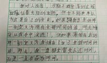 我家的小狗_100字