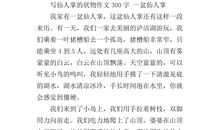 一年级状物作文：鲨鱼_350字