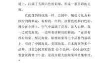 一年级状物作文：外婆的笋娃娃_400字