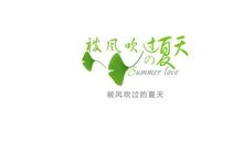 风走，风过_800字