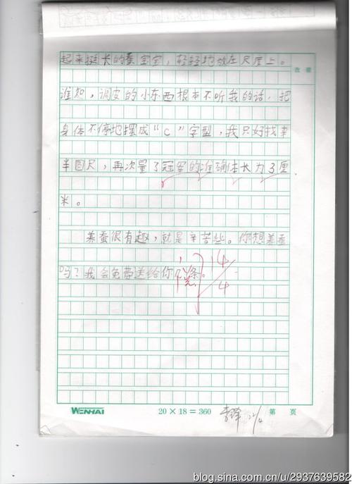一年级组成：蚕体验_200字