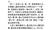 一年级状物作文：吊兰_100字