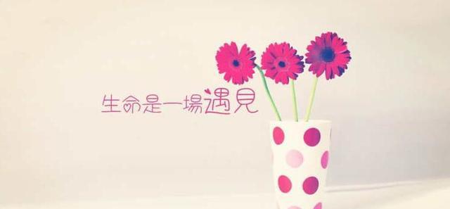 珍惜生活，从你来看，我开始_500字