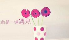 珍惜生命，从你我做起_500字