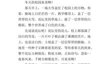 高一写景作文：雪(二)_700字