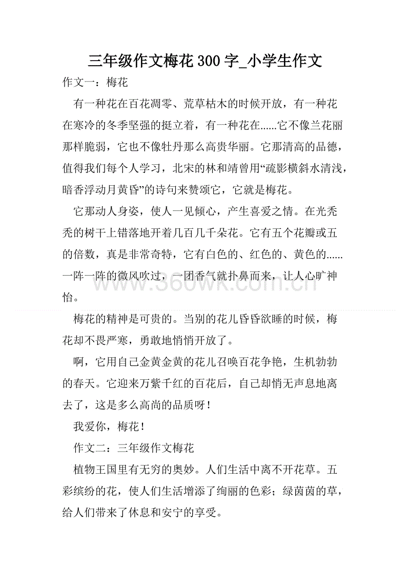 高写下视图：梅花_700字