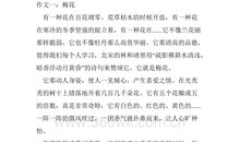 高一写景作文：梅花_700字