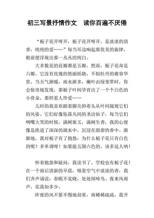 高写下视图：太阳的温暖_900字